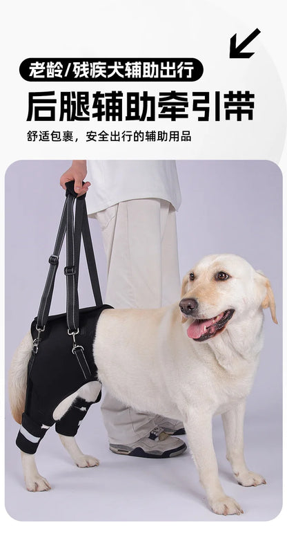 Dog Support Harness Elderly Dogs Adjustable Rehabilitation Mobility Aid Walk Comfortable Orthopedic Back Leg Lift Support Belt