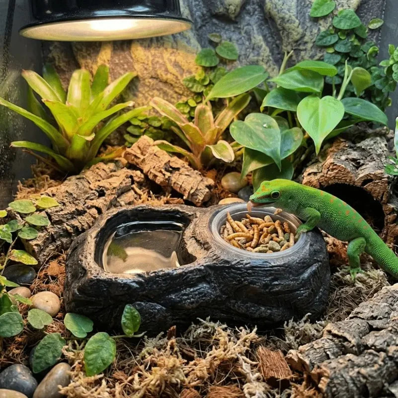 Imitation Stone Resin Rock Feeder Dish Wear Resistant Anti-knock Pet Feeder Ledge with Bowls Wide Mouth Reptile Food Bowl