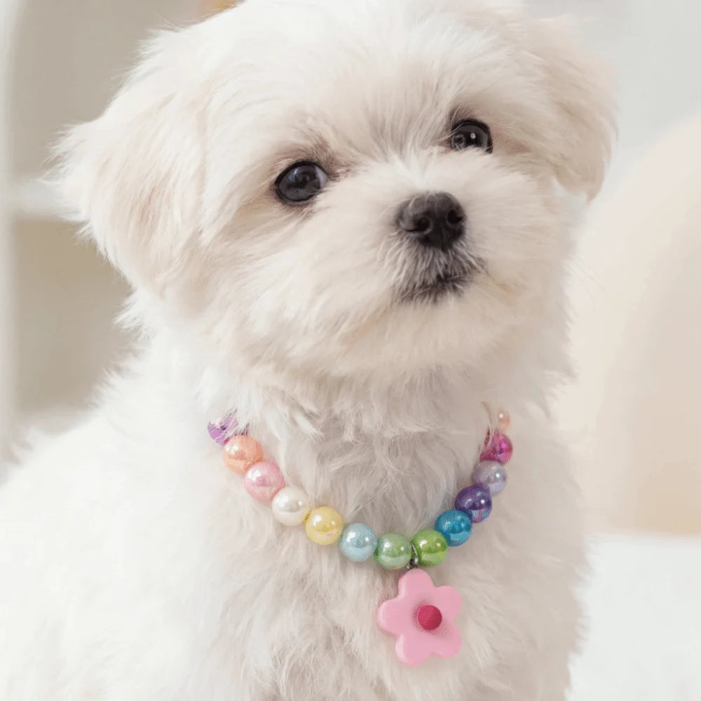 Cute Adjustable Beaded Cat Flower Pendant Candy Color Cat Pet Neck Chain Pet Jewelry Elastic Dog Cat Pet Collar Kitten Puppy