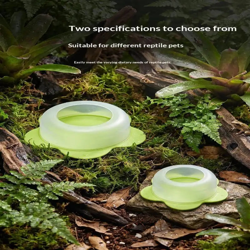 1Pcs ABS Reptile Feeding Dish Anti Escape Worm Food Bowl For Lizards Geckos Snakes Turtles Tortoises