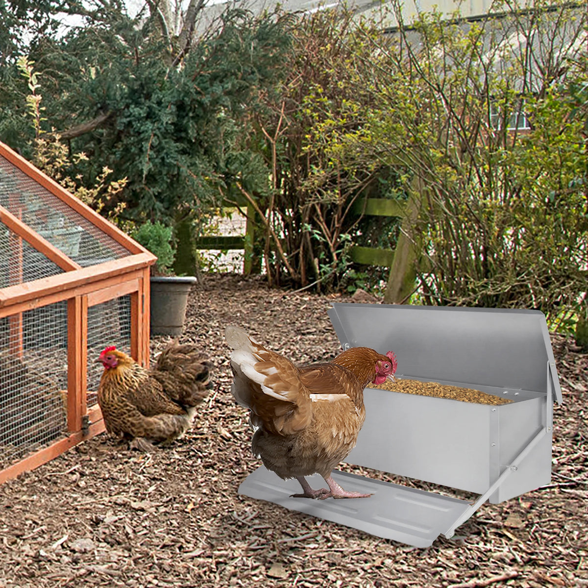 Automatic Feeder, Feeding Trough with Automatic Pedal & Mouse Protection Lid, 5KG/10KG Chicken Feeder for Farm Animals